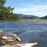 Jervehiet - 4